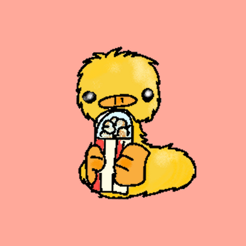 きかも